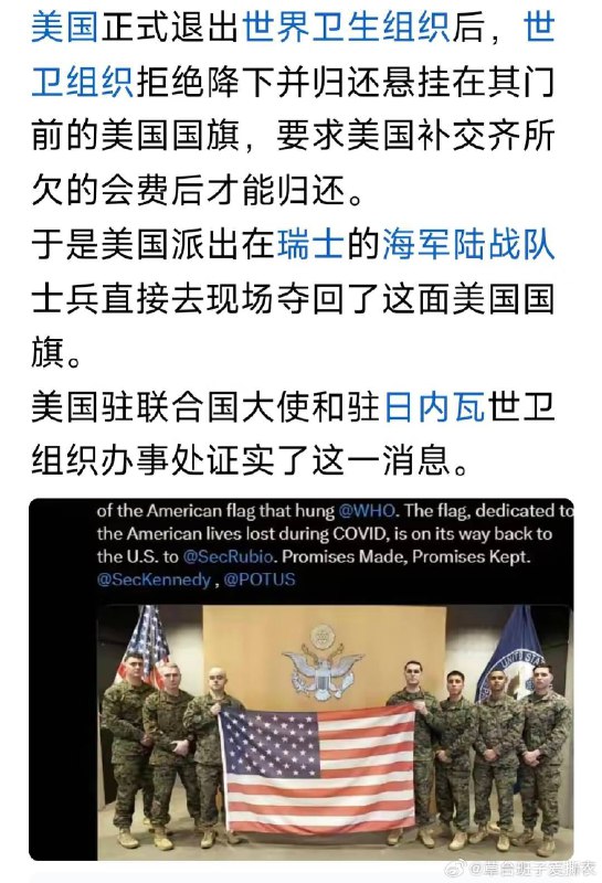 杯面骑士: 