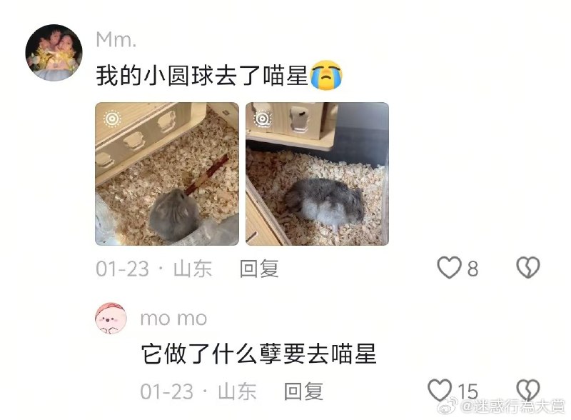 杯面骑士: 