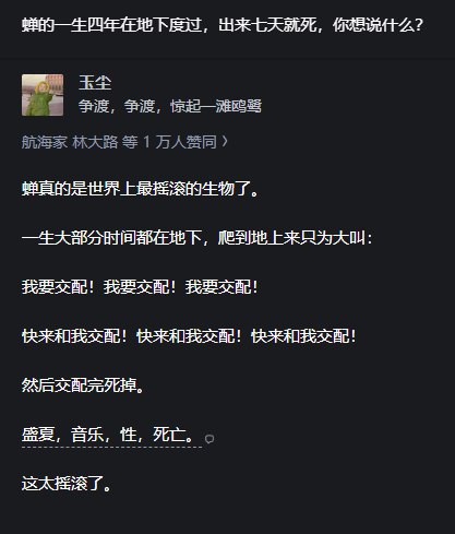 阿伟还在呢: 