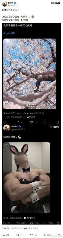 杯面骑士: jandan.net/t/6127749OO: 212 XX: 25sonic7216: 樱花常见，穿这样的兔女郎不常见啊OO: 122, XX: 0是呀是呀llee: 练成这样心血应该比拍樱花付出的更多吧？这样看世界还是蛮正常的——会给努力的人点赞