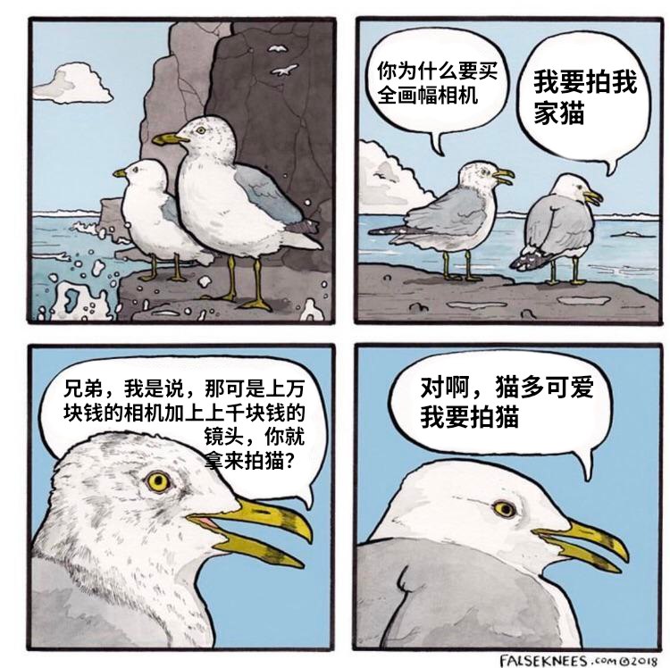 HeHeDa: jandan.net/t/6141248OO: 109 XX: 14士多啤梨苹果橙: 拍猫省心省事，拍人最费劲，人又容易“不上镜”