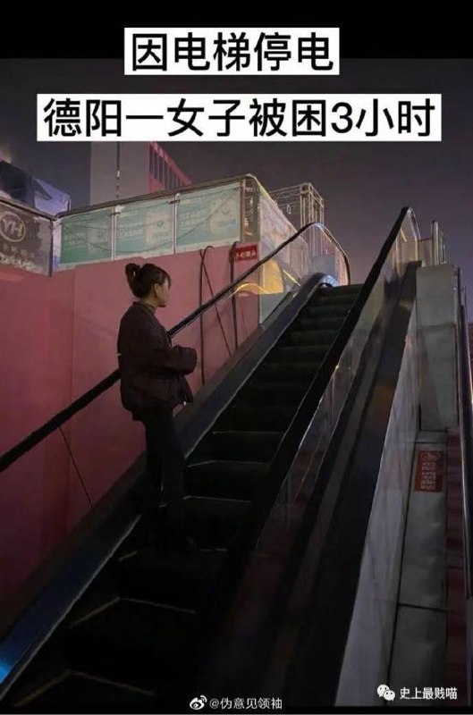 好骚啊: 
