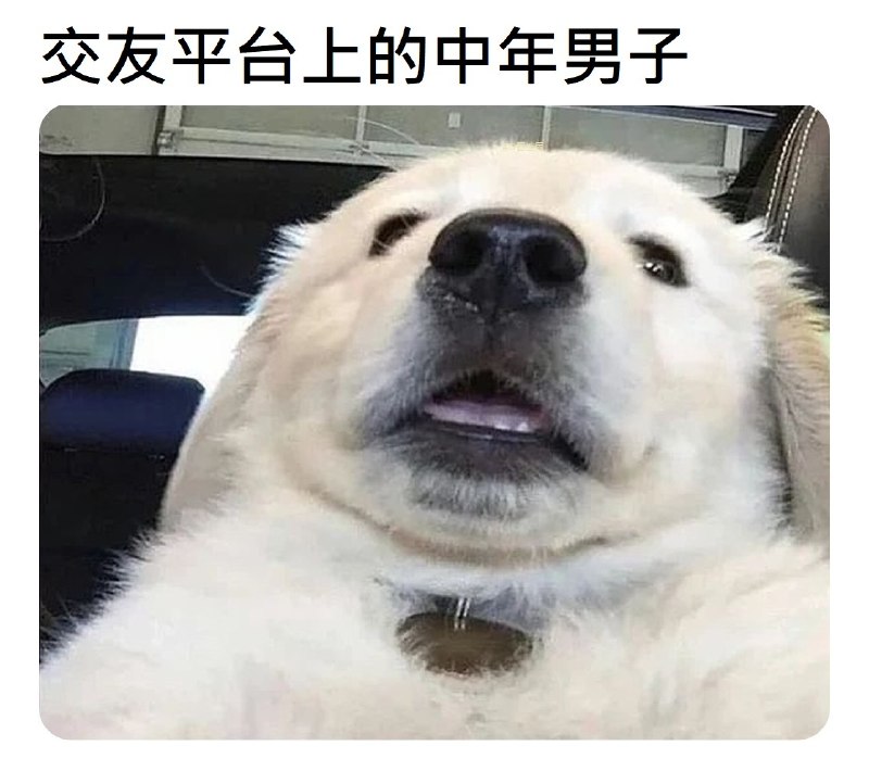 looooook: jandan.net/t/6128382OO: 111 XX: 4zjc: 没这么可爱OO: 36, XX: 0简单繁琐: 还怪好看嘞OO: 9, XX: 0