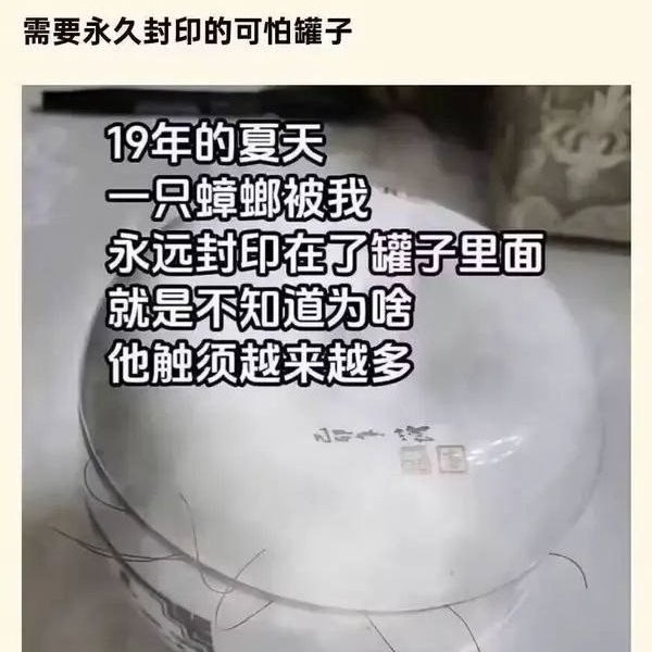 Jaime_哈伊枚: jandan.net/t/6126118OO: 122 XX: 12蛋友16fe92566980a: 难道是提前被蜘蛛寄生爆蛛了？不然蟑螂要长大也没有能量物质啊OO: 37, XX: 3rexfwc: JoJo哪怕无损继承，也只是一只哇OO: 13, XX: 0