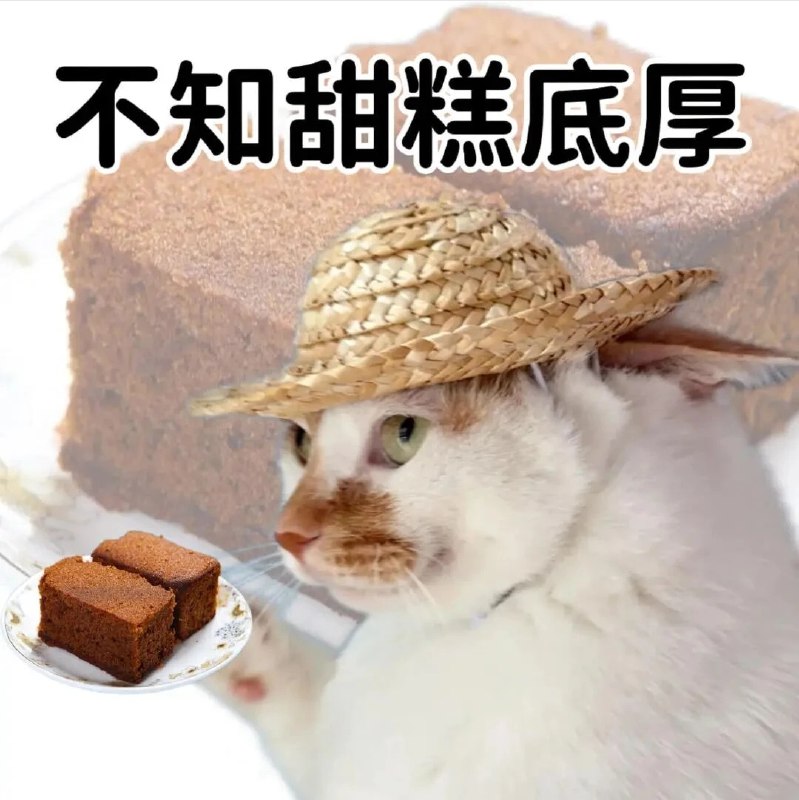 ASDZXC: 