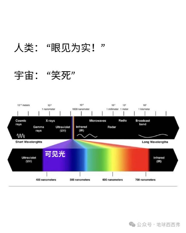 时奈: 