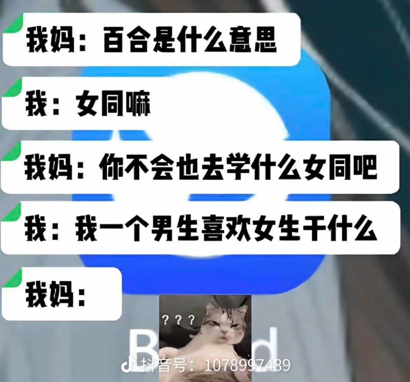 杯面骑士: 
