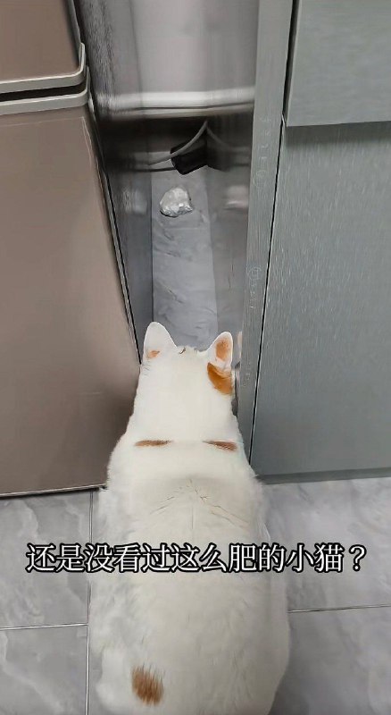 种田能手: 