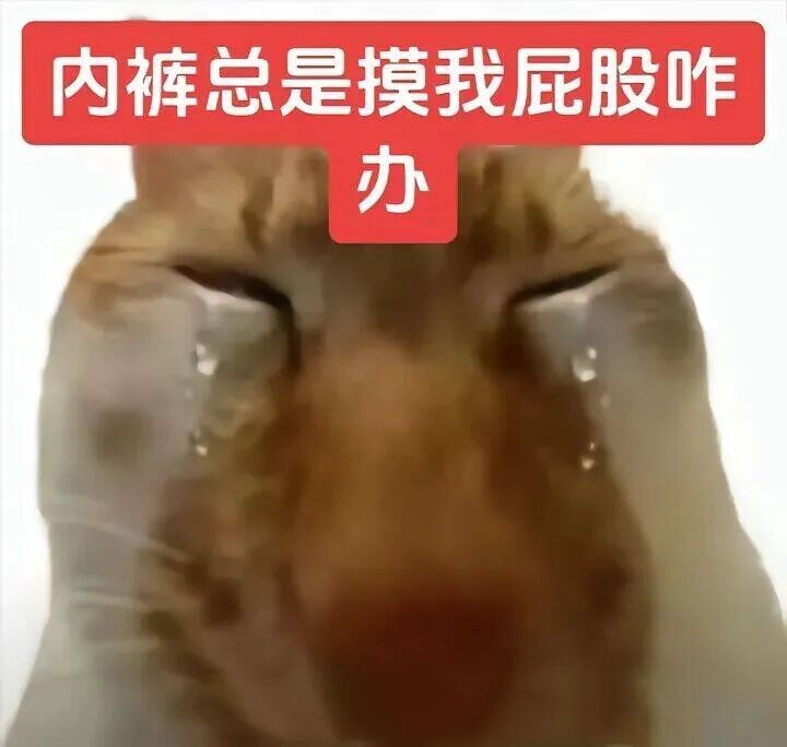 zzzcore: 