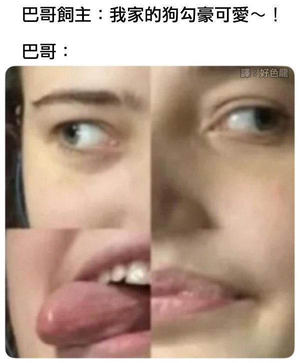 琪露诺: 