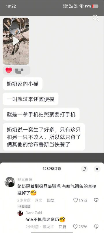 杯面骑士: 