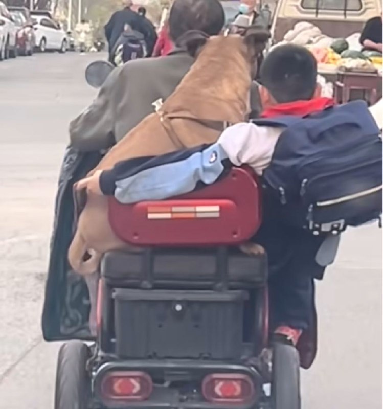 Q_Z: jandan.net/t/6127688OO: 134 XX: 3性别男: 世子之争OO: 29, XX: 0Q_Z: jandan.net/t/6127688OO: 134 XX: 3性别男: 世子之争OO: 29, XX: 0