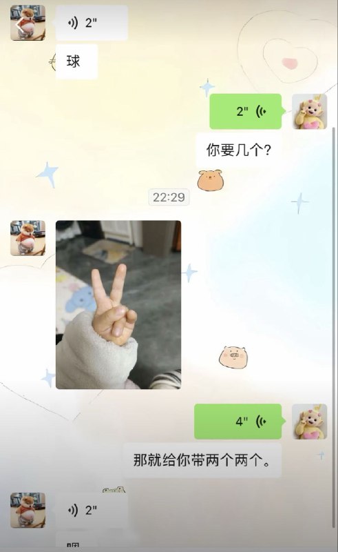 鸡掰猫猫: 