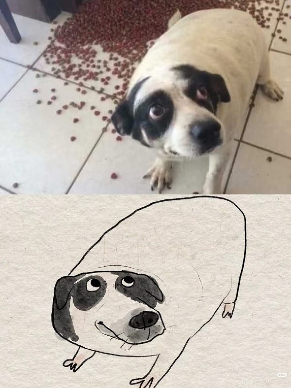 HeHeDa: 