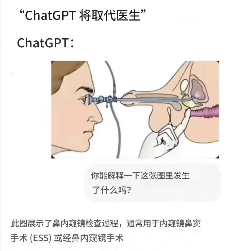 HeHeDa: 