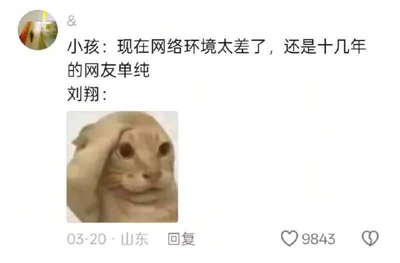 嗷嗷嗷: 