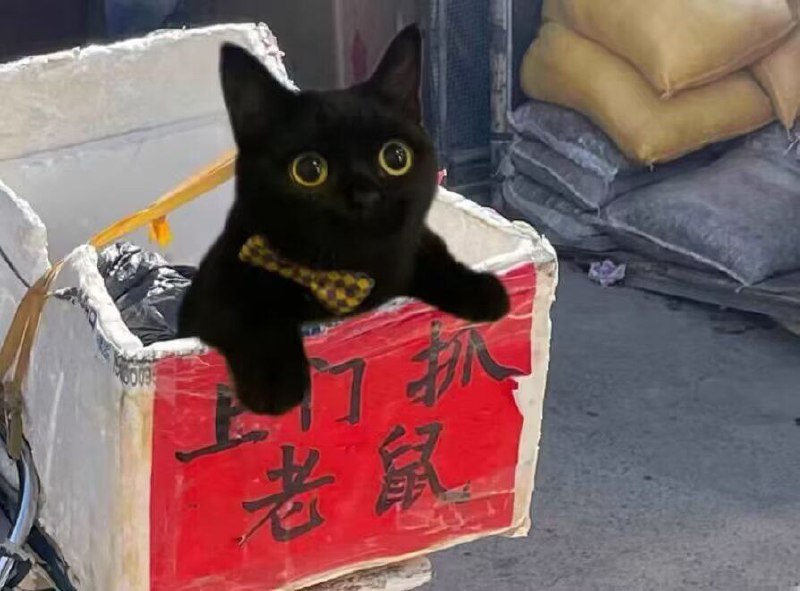 杯面骑士: 