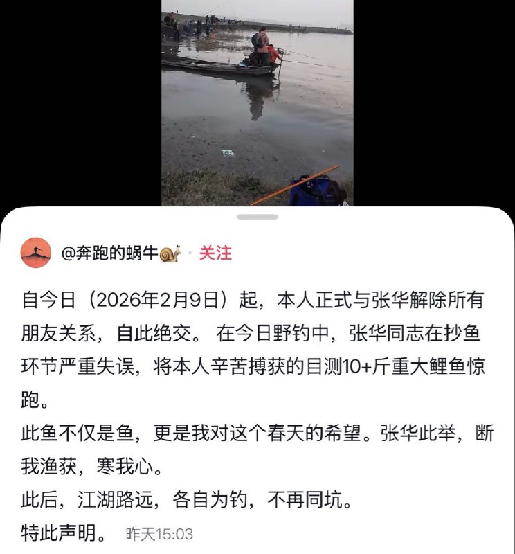 鸡掰猫猫: 