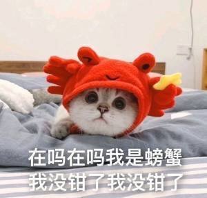 多吃薯条: jandan.net/t/6138788OO: 125 XX: 6螃螃猫: 不是我说的OO: 10, XX: 0
