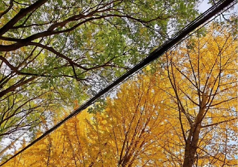 Q_Z: jandan.net/t/6129372OO: 139 XX: 1