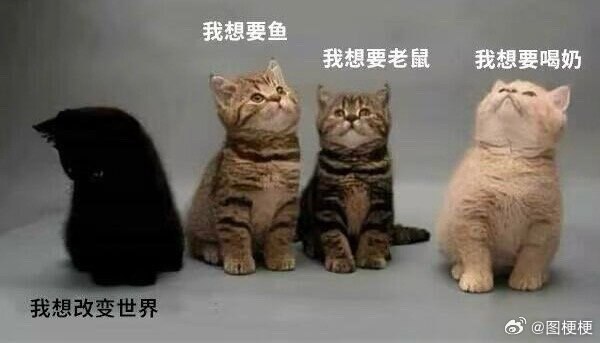 raining: jandan.net/t/6127722OO: 123 XX: 4辽北第一狠人: 蛋友e6590d0856cd8喝奶的那个OO: 30, XX: 0蛋友e6590d0856cd8: 一看就知道谁是大反派OO: 10, XX: 0