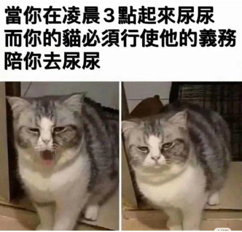 ASDZXC: 