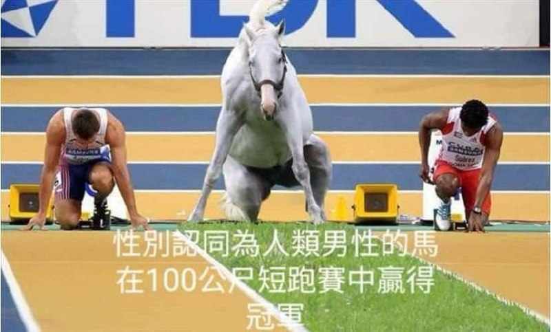琪露诺: 