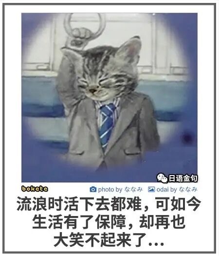 多吃薯条: jandan.net/t/6131703OO: 127 XX: 4Blastom: 随时可以重新体会啊