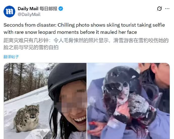 抱枕子: 