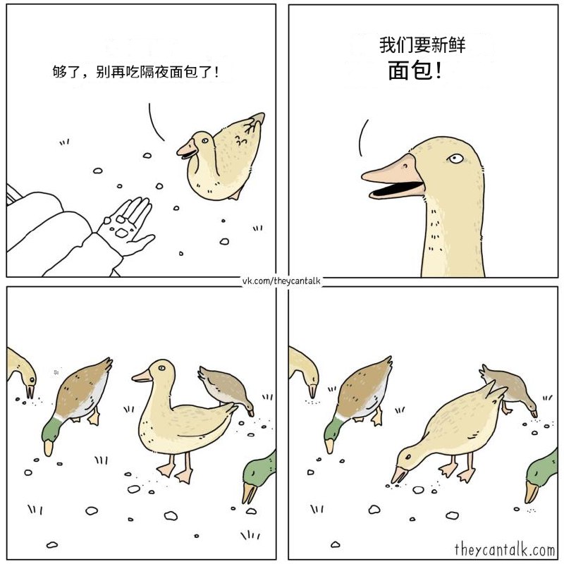 HeHeDa: 