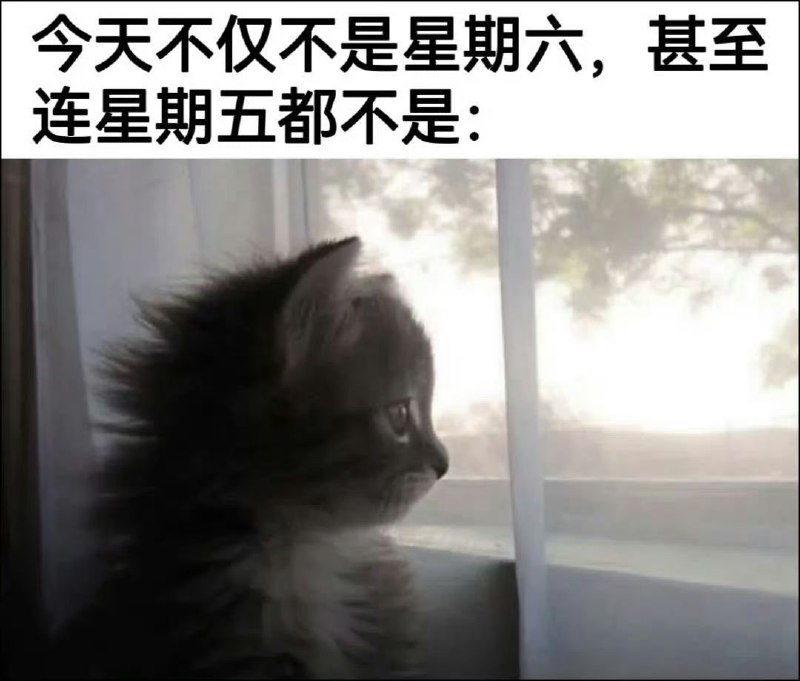 pz404: jandan.net/t/6131260OO: 122 XX: 2野鹤闲云惯: 甚至连周四都不是（无广）OO: 27, XX: 0