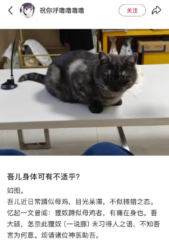 杯面骑士: jandan.net/t/6131128OO: 144 XX: 34蛋友3aed9df335c: 地板冰冰也OO: 53, XX: 0蛋友16fd7570b1e3c: 母鸡蹲就是猫猫冷了OO: 20, XX: 2我是你爸爸: 第一句应该是“地板冰冰乎？”   ，确认了才应该说“地板冰冰也”