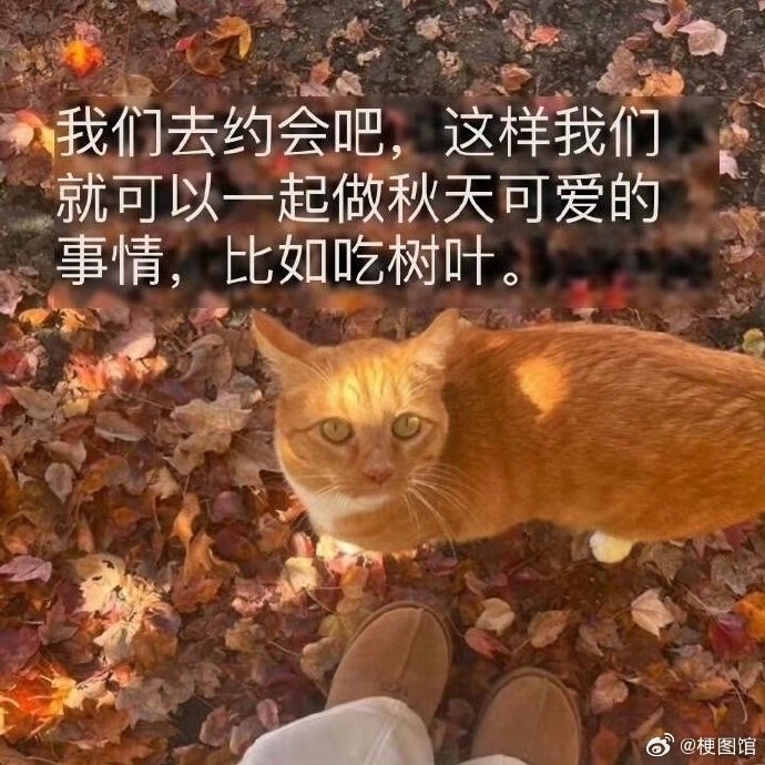 raining: jandan.net/t/6127724OO: 127 XX: 2蛋友170016e67201e: 秋天嘛...停车____枫林晚？OO: 26, XX: 0