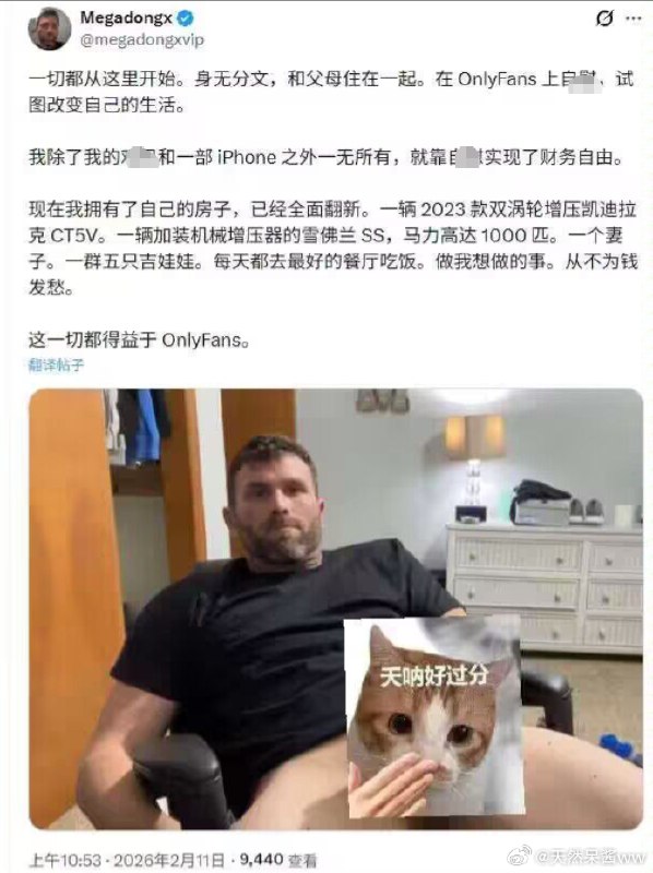杯面骑士: 