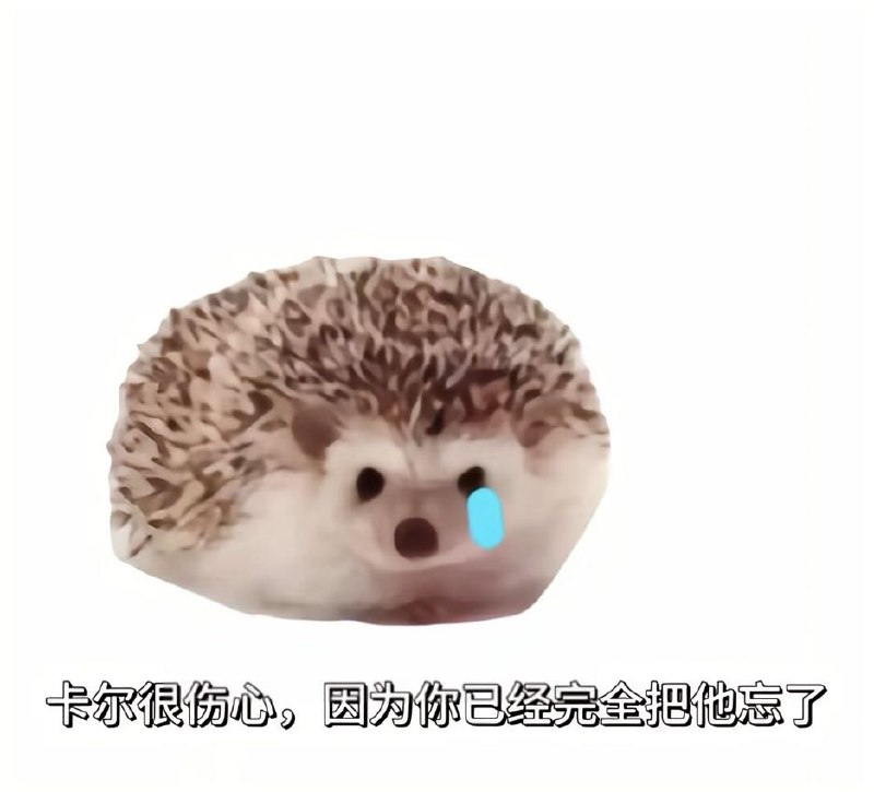 迷失: 