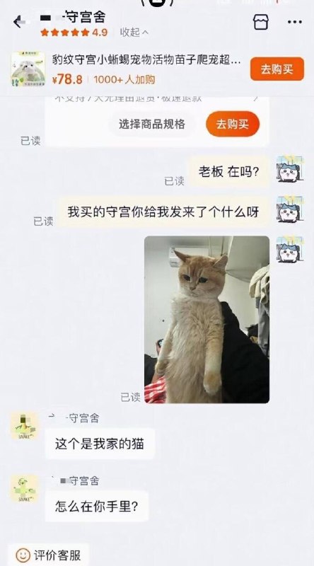 YoRHa15: jandan.net/t/6130202OO: 141 XX: 10edger: 这守宫别是在猫肚子里了哦OO: 53, XX: 1麻麻蛋蛋: 现在是我的了OO: 20, XX: 1