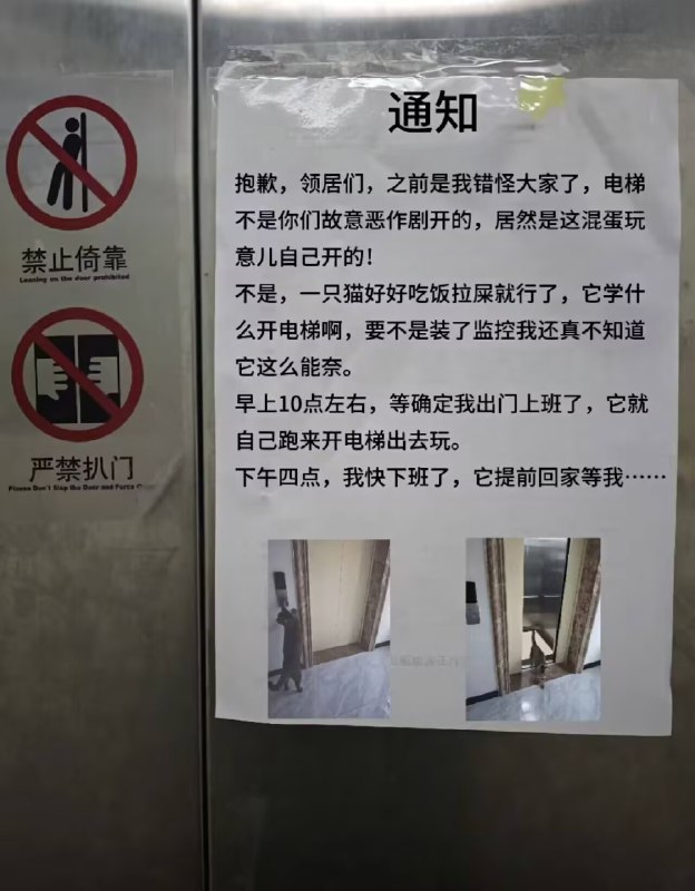 番茄喵喵: jandan.net/t/6129808OO: 139 XX: 34帝诺索: 这算是得瑟贴吧OO: 78, XX: 0说句不好吃的: ？怎么按到自己楼层的OO: 30, XX: 0高压电: 什么打印机打的照片中的白色比纸还白OO: 21, XX: 0厚德载雾自强不吸: 注意透视OO: 11, XX: 0