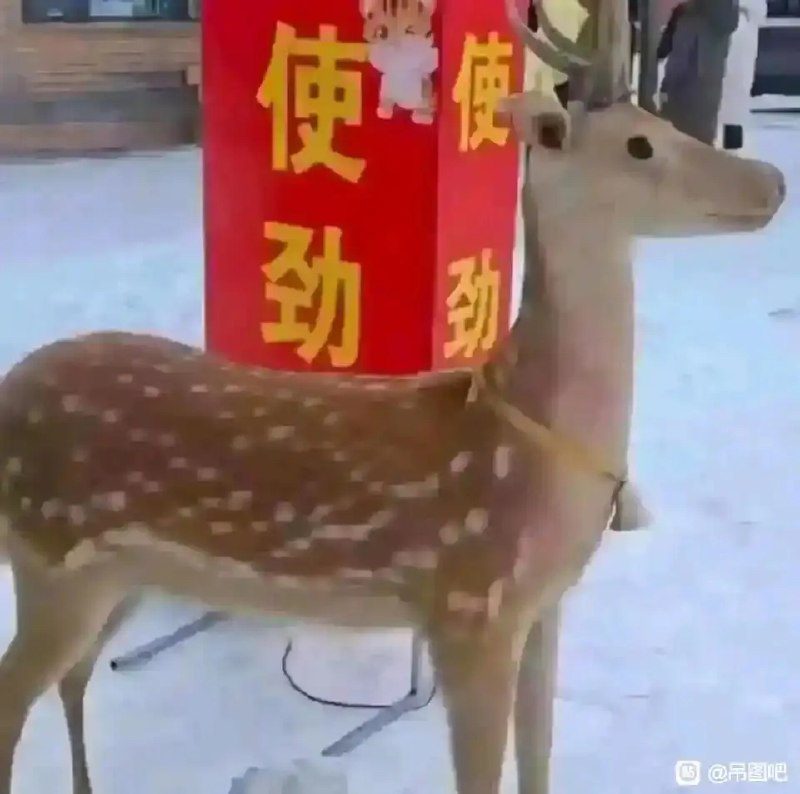方枪枪: 