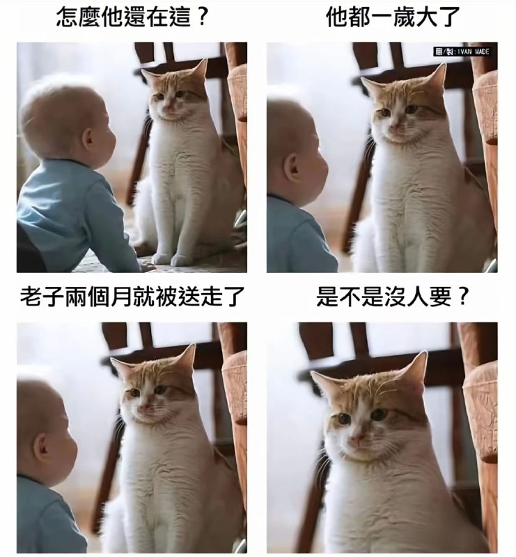 ASDZXC: 