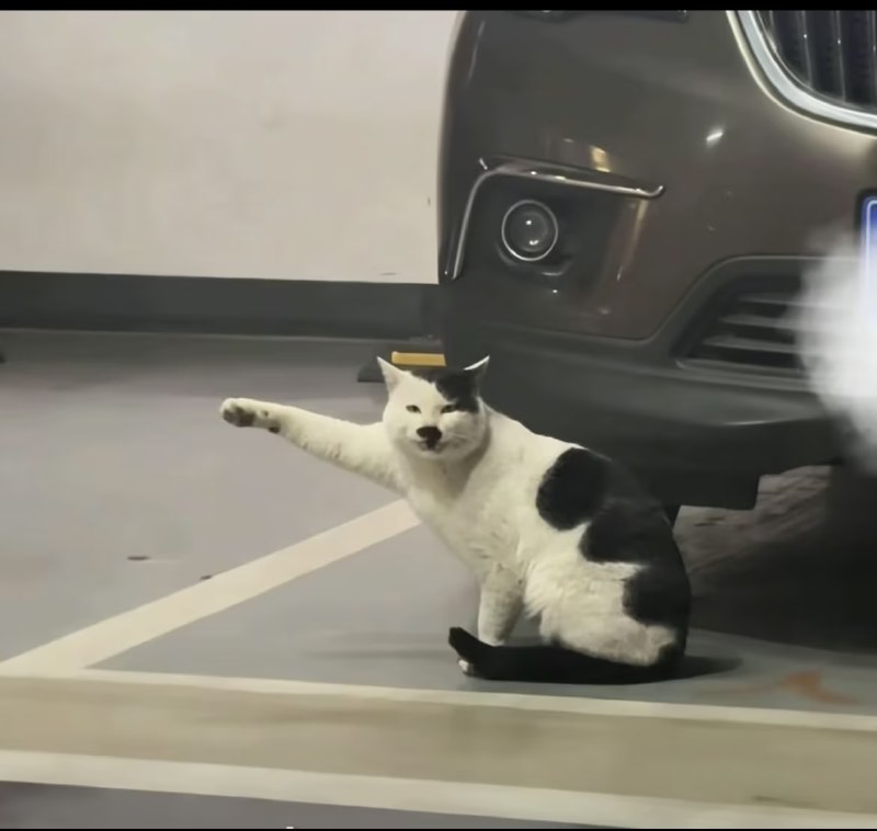 找屎小兵人: jandan.net/t/6130145OO: 154 XX: 2蛋友e63b64bec06ee: 去波兰OO: 33, XX: 0bba34: 去法国OO: 17, XX: 1