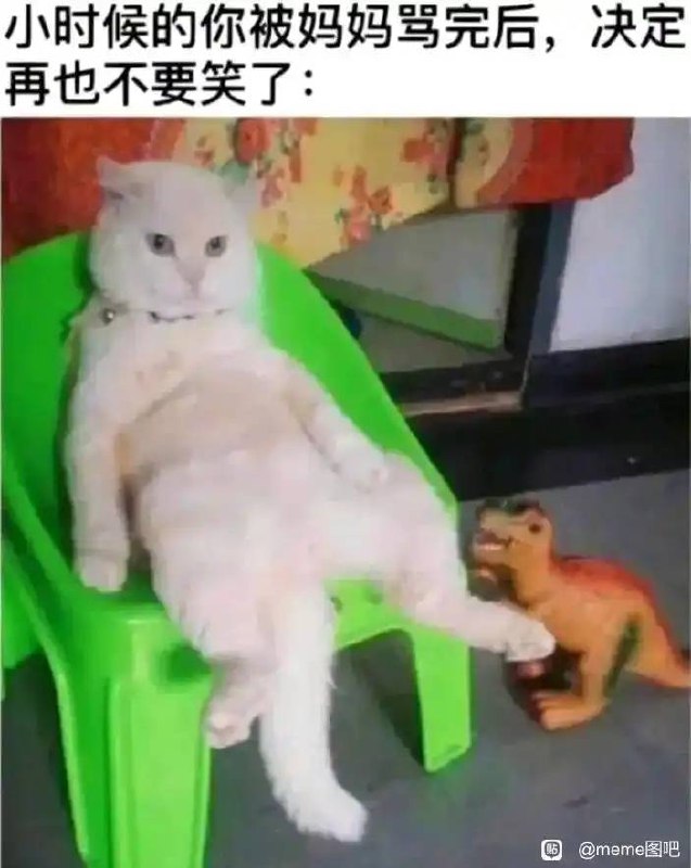 制式仪刀: 