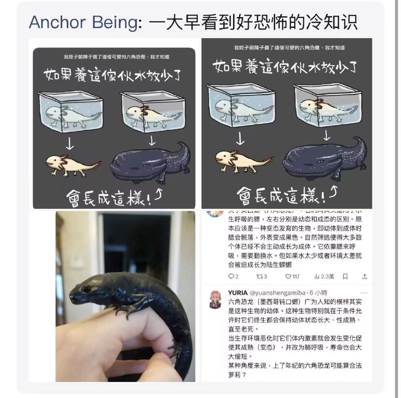 制式仪刀: jandan.net/t/6125920OO: 133 XX: 11Dr_Lonely: 宠物小精灵 水系 半水系OO: 36, XX: 0首席战棋师: 对这就是用水之石和火之石的两种进化路线 所以娃娃鱼就是伊布OO: 16, XX: 0