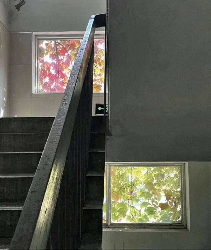 Q_Z: jandan.net/t/6129373OO: 209 XX: 3猫子: 一日之内，一宫之间，而气候不齐OO: 25, XX: 0乱晃晃晃晃晃: 春上秋树OO: 7, XX: 0