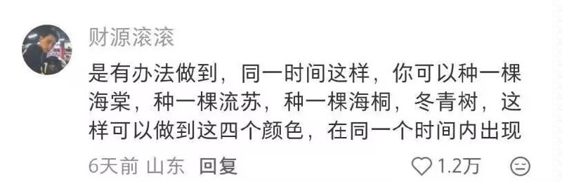制式仪刀: 