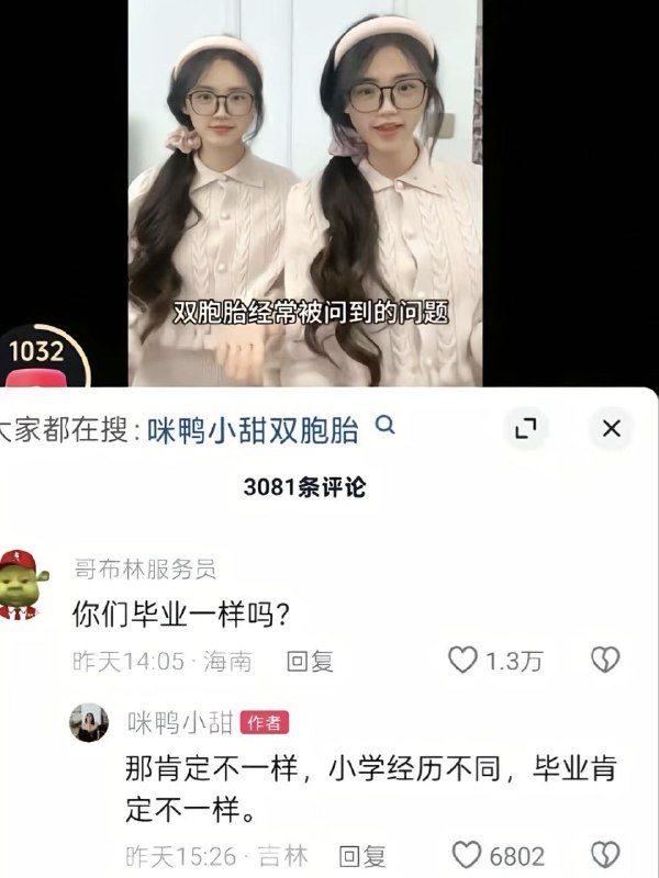 鸡掰猫猫: 