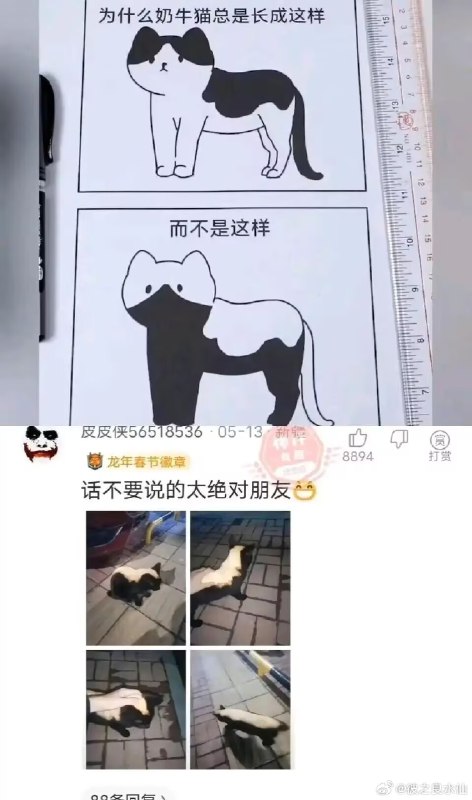 杯面骑士: 