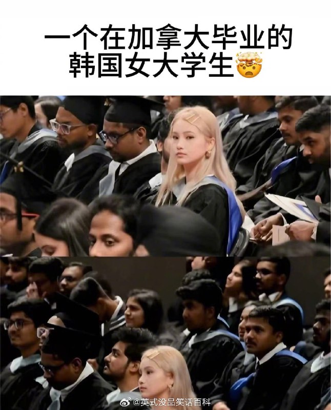 厨余怪蜀黍: 