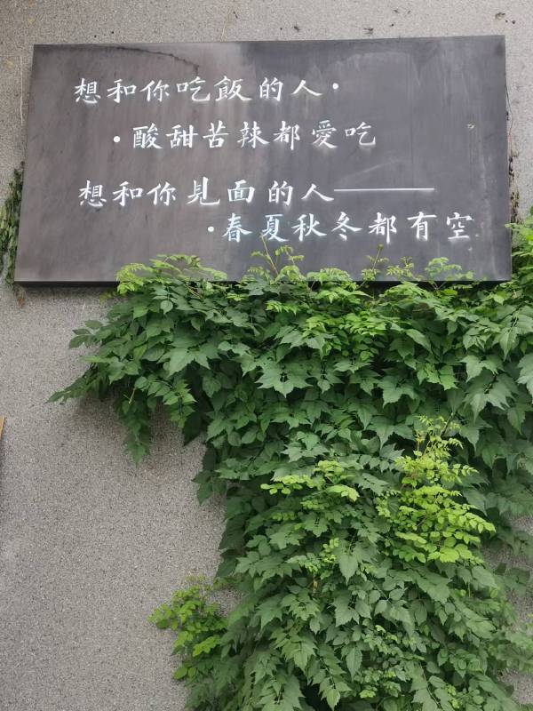 独赤石不如众: 