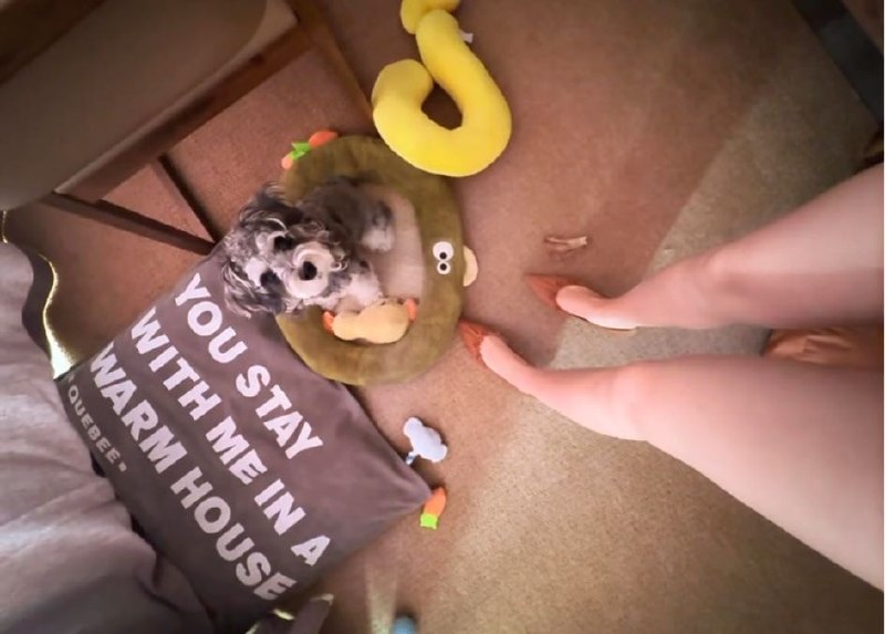 Q_Z: jandan.net/t/6129800OO: 137 XX: 5狼狼L: 什么擎天柱OO: 12, XX: 0