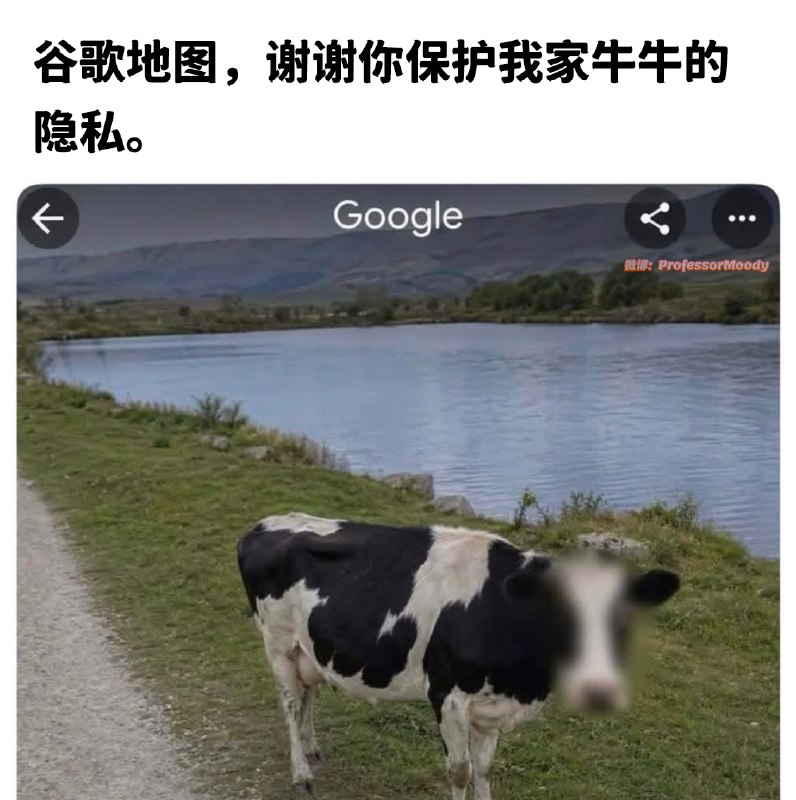 嗷嗷嗷: jandan.net/t/6138339OO: 104 XX: 4冯翼惟象: 看来国外段子手也创意枯竭，前几天还是保护狗的隐私